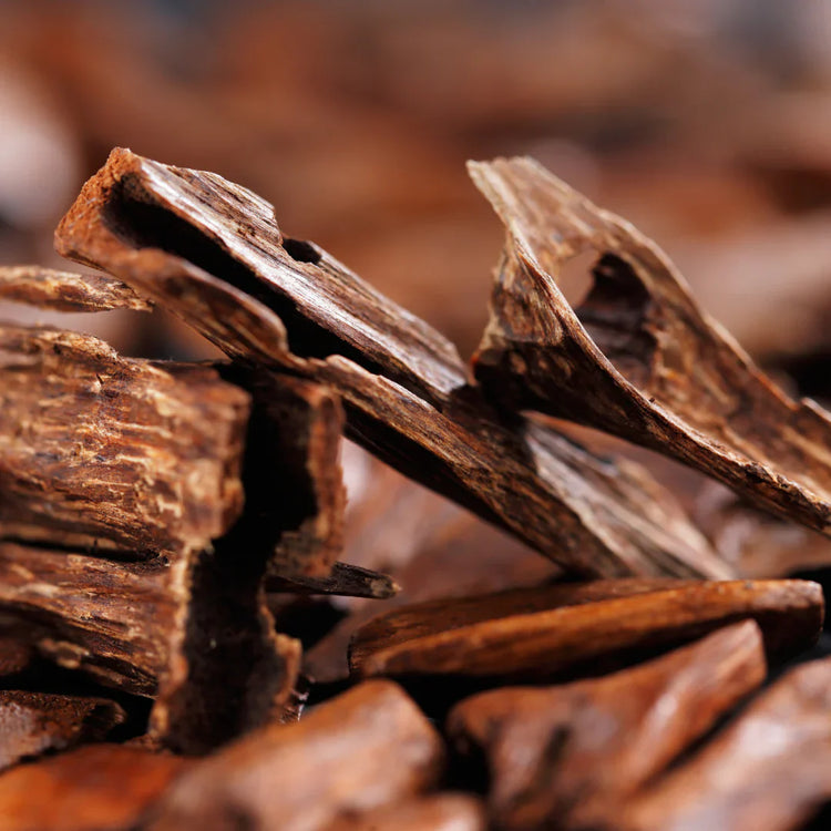 Maraki Oud